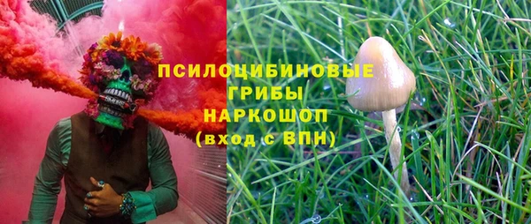 соль ск Аркадак