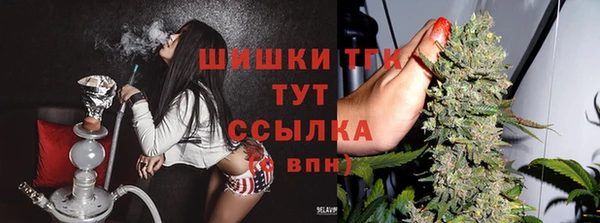 не бодяженный Арсеньев